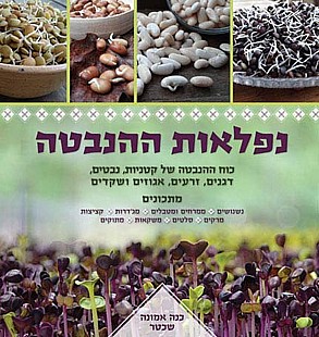 ������ ������ - �� ���� �� �����