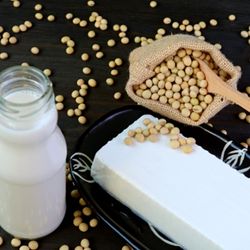 פיטואסטרוגנים בגיל המעבר. מתוך הספר פיטואסטרוגנים בגיל המעבר. מתוך הספר