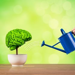 המלצות לשיפור הזיכרון. מתוך הספר  המלצות לשיפור הזיכרון. מתוך הספר