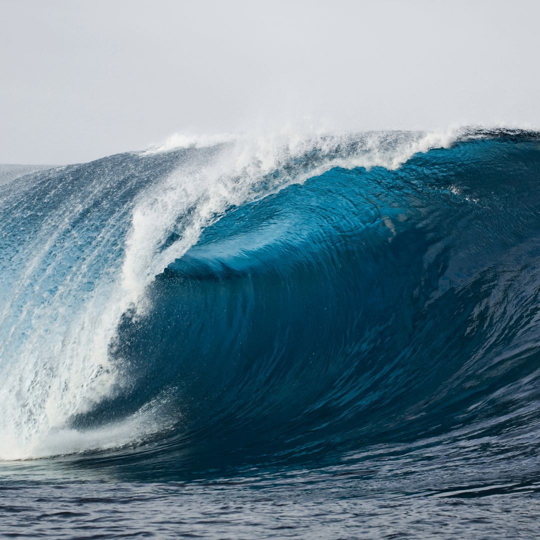 גלים של רגשות עזים - לזרום איתם ולא להיאבק בהם. גלים של רגשות עזים - לזרום איתם ולא להיאבק בהם.